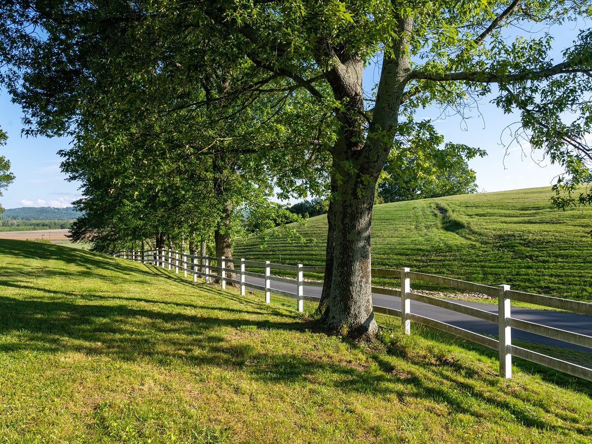 Lot 1 at The Farm at Mills River